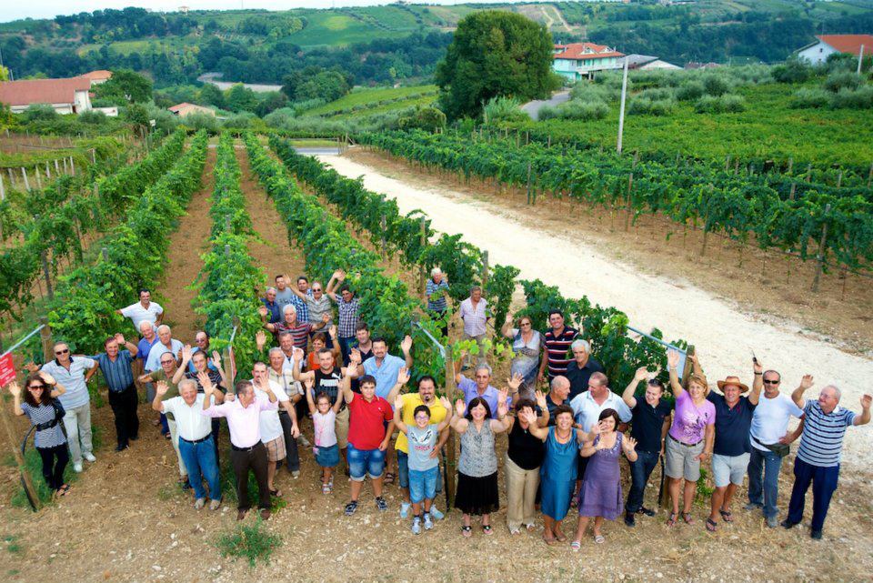 Cantina Tollo-Personale-Invive Milano